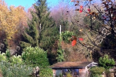 gite-nov-16